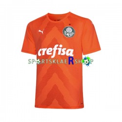 Palmeiras drakt Keeper Tredjetrøye Kort erm 2022-23 , Herre