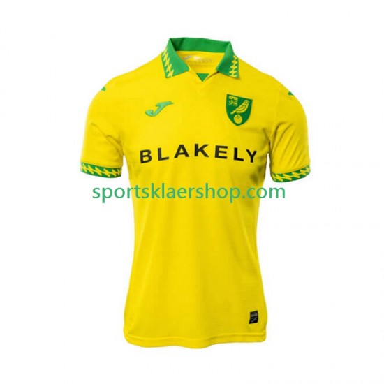 Norwich City drakt Hjemmetrøye Kort erm 2025-2026 , Herre