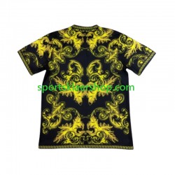 Italia drakt Special Kort erm 2024 , Herre