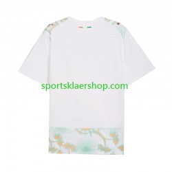 Elfenbenskysten drakt Bortetrøye Kort erm VM 2026 , Herre