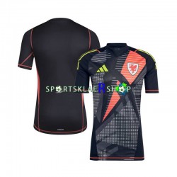 Wales drakt Keeper Hjemmetrøye Kort erm 2024 , Herre