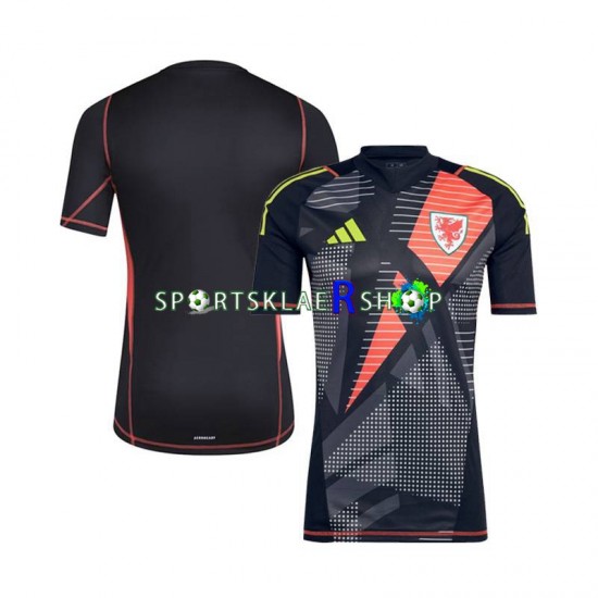 Wales drakt Keeper Hjemmetrøye Kort erm 2024 , Herre