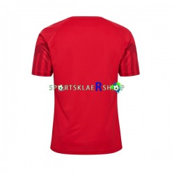 Danmark drakt Hjemmetrøye Kort erm VM 2022 , Herre