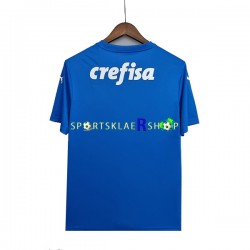 Palmeiras drakt Keeper Bortetrøye Kort erm 2022-23 , Herre